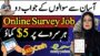 Survey Apps To Earn Money | Online Survey Jobs In Pakistan | Samina Syed
